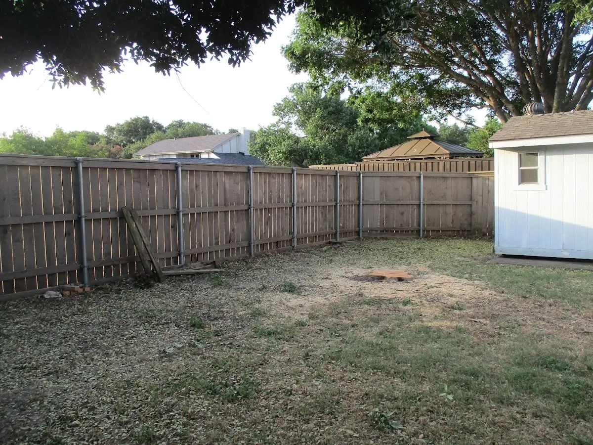 Cleared yard after professional tree removal in Cannon Ball